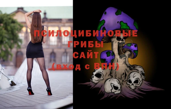 PSILOCYBIN Абдулино