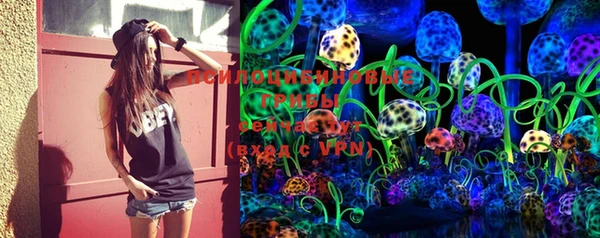 PSILOCYBIN Абдулино