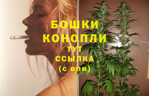 гидра Лиски