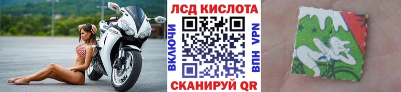 где найти наркотики  Химки  нарко площадка какой сайт  Марки 25I-NBOMe 1,8мг 