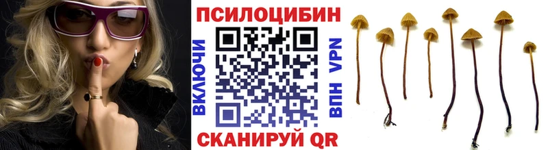 Галлюциногенные грибы Magic Shrooms  Химки 